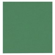 Servett tissue mörkgrön 2-lags 33x33 cm - 2000 servetter/krt