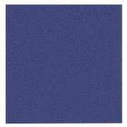 Servett tissue blå 2-lags 33x33cm - 2000 servetter/krt